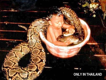 niño baña a una serpiente